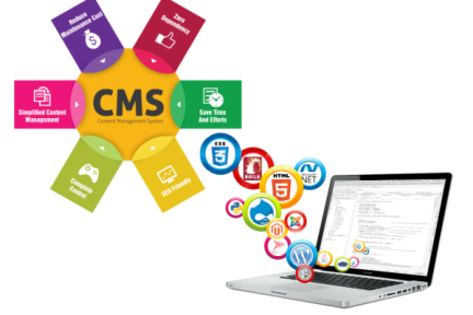  CMS Designing (Content Management System)