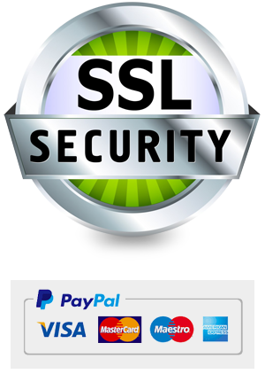  SSL Security Plan