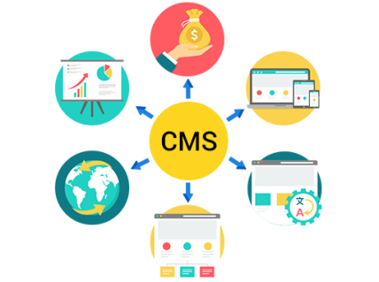  Content Management System