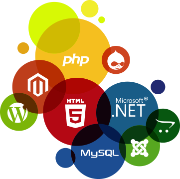  Custom Web Development