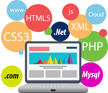  Website Development Live Training